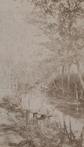 Stepping stones from a waterway to a wooded bankside