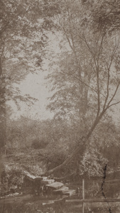 Stepping stones from a waterway to a wooded bankside