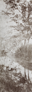 Stepping stones from a waterway to a wooded bankside