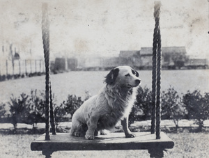 Squint on a garden swing, 35 Tongshan Road, Hongkou, Shanghai