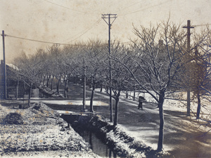 Winter scene photographed from 35 Tongshan Road, Hongkou, Shanghai, January 1921