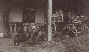 Turkeys and milk delivery cart in the a stable yard, Shanghai