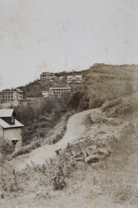 A grazing horse, workers beside a road, and summer houses, Moganshan