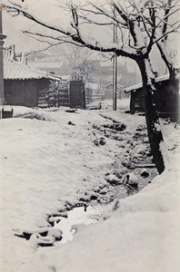 Snow falling on a creek near Tongshan Road, Hongkou, Shanghai 