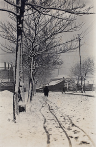 Snow falling and people walking along Tongshan Road, Hongkou, Shanghai