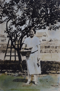 Sarah Hutchinson holding a basket of apricots in the garden, 35 Tongshan Road, Hongkou, Shanghai