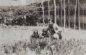 Gladys, Bea and Sarah Hutchinson with spring bulbs in full bloom in the garden, 35 Tongshan Road, Hongkou, Shanghai