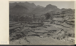 Terraced fields in the Jumahe Valley