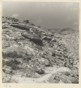Guides and donkeys on the trail through the Jumahe Valley