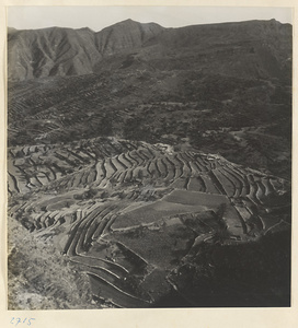 Terraced fields in the Jumahe Valley