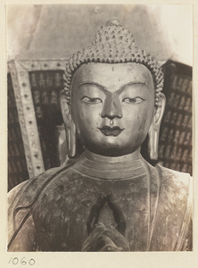 Detail showing head and hands of a statue of Buddha in Wan fa gui yi dian at Pu tuo zong cheng miao