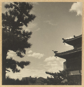 Detail showing double-eaved roof of Miao gao zhuang yan dian with a sea elephant and a bell