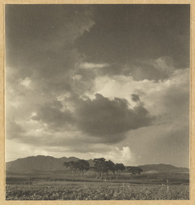 Landscape with trees along the road from Beijing to Chengde