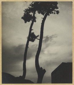 Silhouette of trees and a temple building