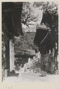 Building with roof ornaments and courtyard with water vat in the Forbidden City