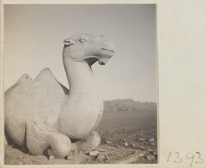 Kneeling camel on Shen Dao leading to the Ming Tombs