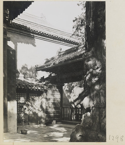 View of a courtyard in the Forbidden City showing a tree and a small gate