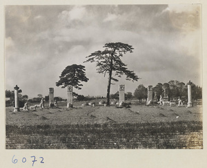 Tortoise stelae, stone animals, and stone figures at Wu ta si