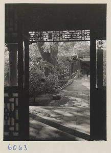 Garden in courtyard at Ta Yuan Fu, Yenching