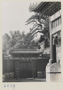 Qian guang men at Tuancheng