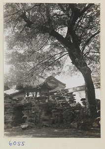 Rock garden and pavilion at Ta Yuan Fu, Yenching