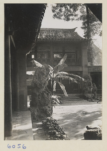 Rock garden in courtyard at Ta Yuan Fu, Yenching