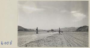 Stone warriors and animals on Shen Dao leading to the Ming tombs