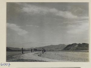 Stone warriors, civil servants, and imperial councillors on Shen Dao leading to the Ming tombs