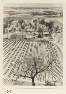 Fields in spring seen from the hillock of the Hei long tan