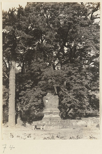 Stupa-style pagoda at Tan zhe si