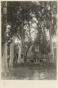 Gang Tie's grave with trees and stone stela at Gang Tie miao