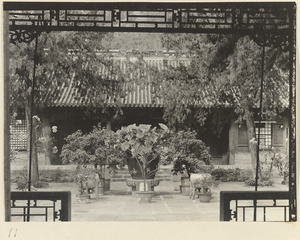 Courtyard with potted plants at Xi yu si