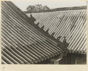 Detail of temple buildings at Xi yu si showing roof ornaments