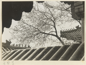 Roof detail showing ornaments at Yihe Yuan