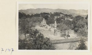 Storied pagodas and statues of animals on Back Hill at Yihe Yuan