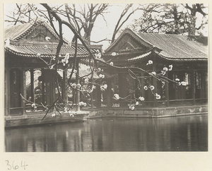 Flowering tree, pavilions, and pond at Xie qu yuan on Back Hill at Yihe Yuan