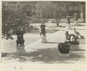 Courtyard of Ren shou dian with bronze incense burners, vat, phoenix, and dragon