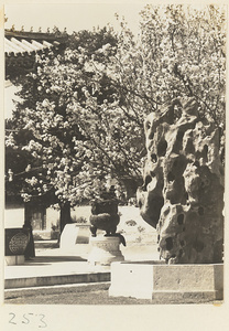 Incense burner, rock, and flowering tree at Ren shou dian