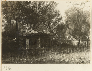 Pavilion and wall at the Old Wu Garden