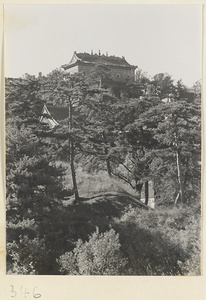 Zhi hui hai atop Back Hill at Yihe Yuan