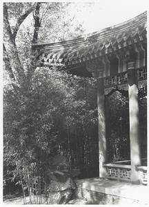 Pavilion detail, rock pile, and bamboo at the New Wu Garden