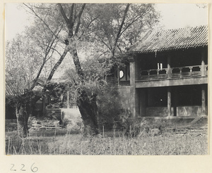 Trees, staircase gallery with ornamental windows, and detail of a two-story building at the Old Wu Garden