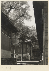 Temple buildings and courtyard with stone stela at Da jue si