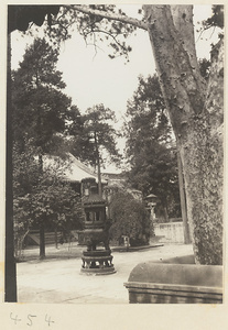 Temple courtyard with incense burner and trees at Fa yuan si