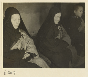 Buddhist nuns meditating