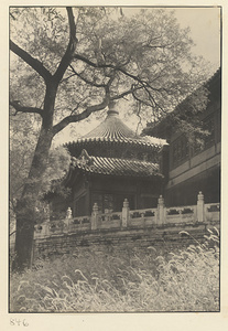 Qian sheng dian