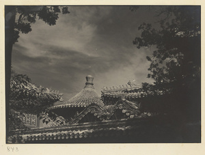 Detail of roofs and roof ornaments at Wan shan dian and Qian sheng dian