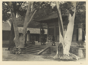 Facade of Da xiong bao dian at Fa hai si