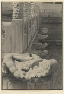 Detail of terrace at Qian dian showing marble balustrade and dragon-headed gargoyles