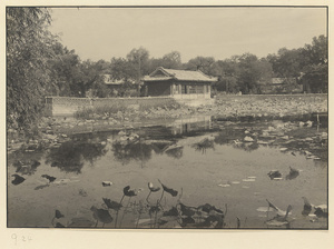 Nanhai Lake and building on the shoreline